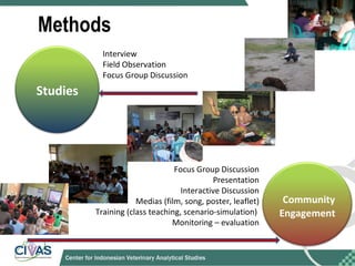 Optimizing rabies control in Bali: An EcoHealth approach