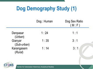 Optimizing rabies control in Bali: An EcoHealth approach