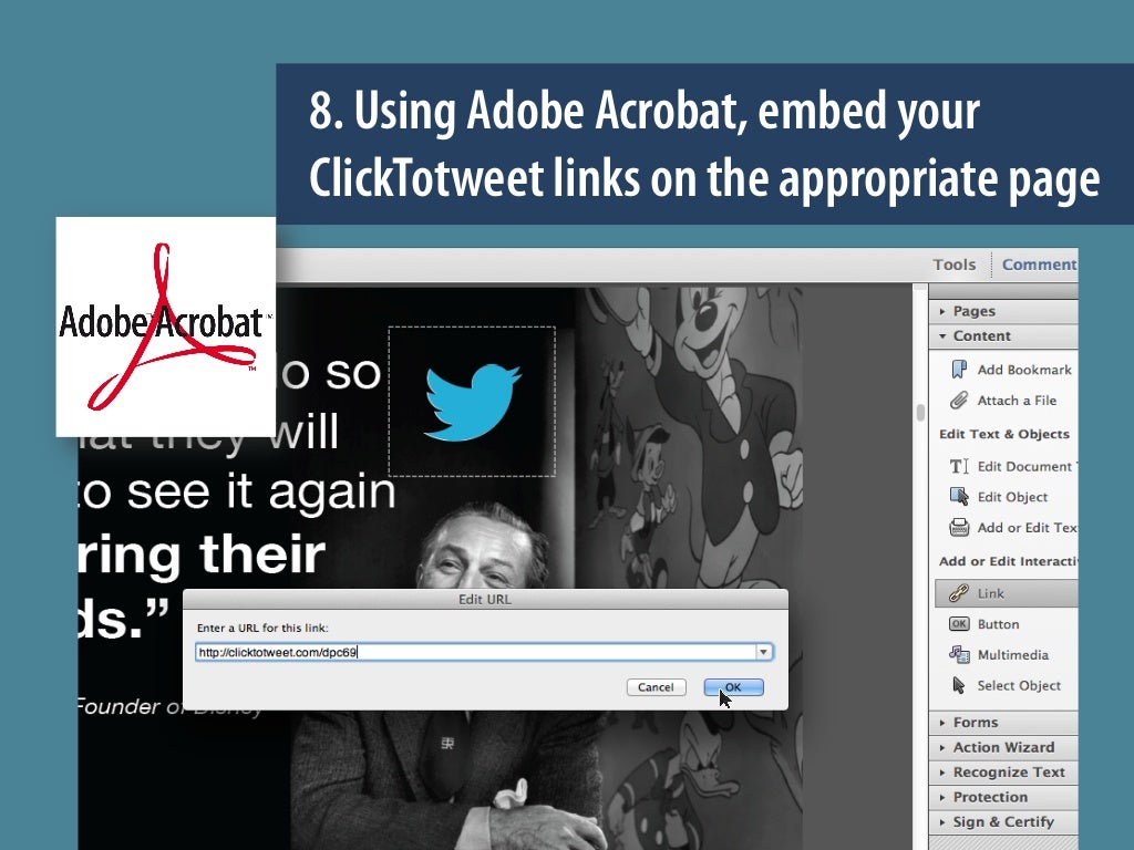 Adobe Acrobat 8 Updates Catalina