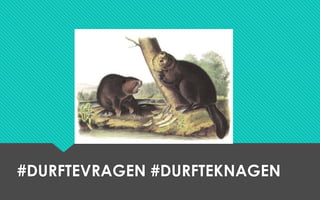 #DURFTEVRAGEN #DURFTEKNAGEN
 