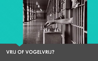 VRIJ OF VOGELVRIJ?
 