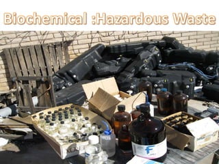 Optimizing waste today for a greener world tomorrow