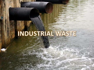 Optimizing waste today for a greener world tomorrow