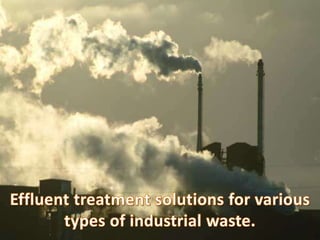 Optimizing waste today for a greener world tomorrow