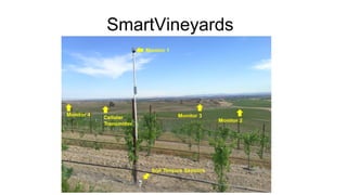 SmartVineyards