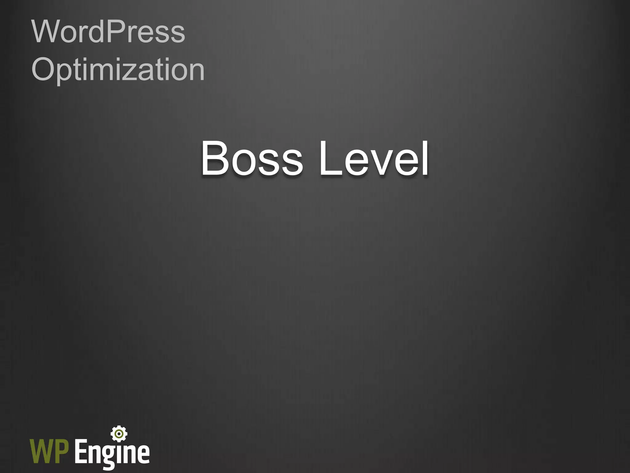 WordPress
Optimization


           Boss Level
 