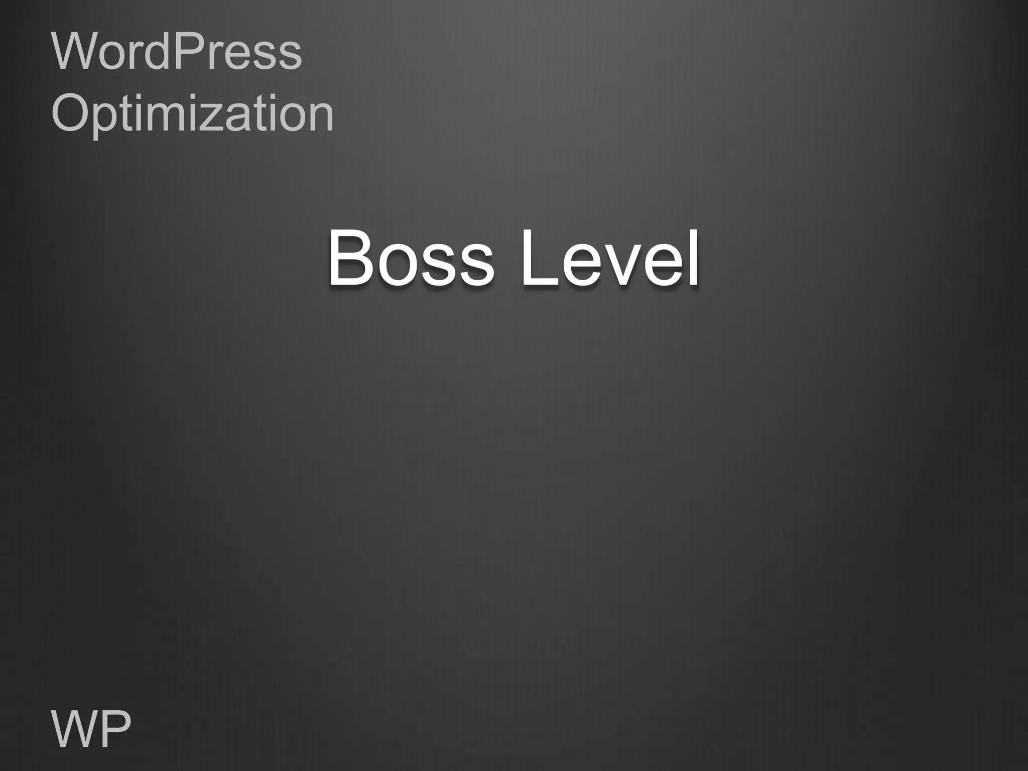 WordPress
Optimization


           Boss Level




WP
 