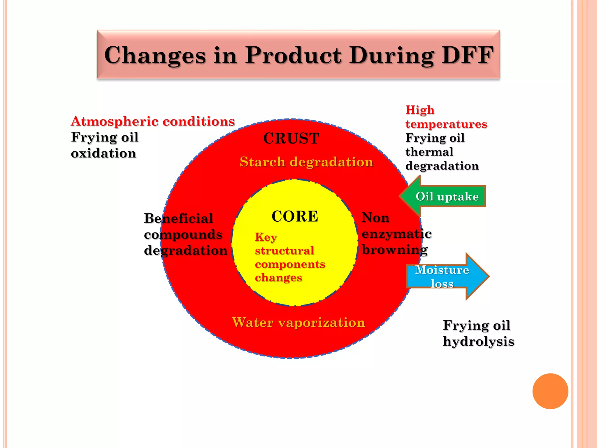 CRUST
CORE
Starch degradation
Non
enzymatic
browning
High
temperatures
Frying oil
thermal
degradation
Beneficial
compounds
degradation
Water vaporization
Atmospheric conditions
Frying oil
oxidation
Frying oil
hydrolysis
Moisture
loss
Oil uptake
Key
structural
components
changes
9
Changes in Product During DFF
 