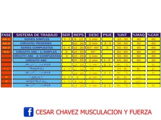 CESAR CHAVEZ MUSCULACION Y FUERZA
 