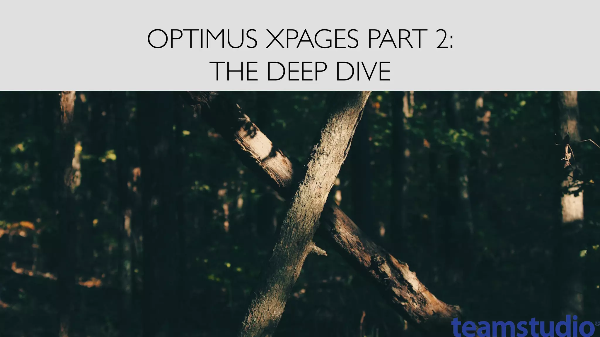 OPTIMUS XPAGES PART 2:
THE DEEP DIVE
 