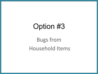 Option #3
Bugs from
Household Items
 