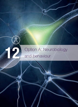 Option A: Neurobiology
and behaviour12
M12_BIO_SB_IBDIP_9007_U12.indd 494 26/11/2014 15:31
 