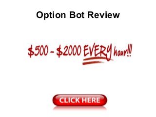 Option Bot Review
 