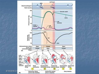 4/10/2016 2:58 PM cottingham
 