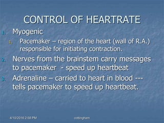 4/10/2016 2:58 PM cottingham
CONTROL OF HEARTRATE
1. Myogenic
1. Pacemaker – region of the heart (wall of R.A.)
responsible for initiating contraction.
2. Nerves from the brainstem carry messages
to pacemaker - speed up heartbeat
3. Adrenaline – carried to heart in blood ---
tells pacemaker to speed up heartbeat.
 