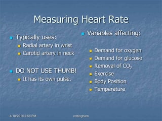 Measuring Heart Rate
 Typically uses:
 Radial artery in wrist
 Carotid artery in neck
 DO NOT USE THUMB!
 It has its own pulse.
 Variables affecting:
 Demand for oxygen
 Demand for glucose
 Removal of CO2
 Exercise
 Body Position
 Temperature
4/10/2016 2:58 PM cottingham
 