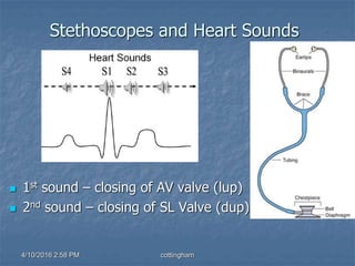 Stethoscopes and Heart Sounds
 1st sound – closing of AV valve (lup)
 2nd sound – closing of SL Valve (dup)
4/10/2016 2:58 PM cottingham
 