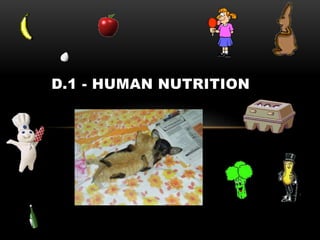 D.1 - HUMAN NUTRITION
 