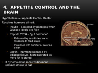 4. APPETITE CONTROL AND THE
BRAIN
Hypothalamus - Appetite Control Center
Receives hormone stimuli:
• Insulin – secreted by pancreas when
Glucose levels are high
• Peptide YY36 - “gut hormone”
• Released by small intestine in
response to food intake
• Increases with number of calories
eaten
• Leptin – hormone released by
adipose tissue . More secreted as
more fat is stored.
• If hypothalamus receives hormone,
reduces desire to eat
 