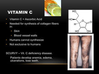 VITAMIN C
• Vitamin C = Ascorbic Acid
• Needed for synthesis of collagen fibers
in:
• Skin
• Blood vessel walls
• Humans cannot synthesize
• Not exclusive to humans
SCURVY – Vit. C deficiency disease.
Patients develop anemia, edema,
ulcerations, lose teeth.
 