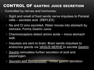 CONTROL OF GASTRIC JUICE SECRETION
• Controlled by nerves and hormones:
• Sight and smell of food sends nerve impulses to Parietal
cells – secretes acid (REFLEX)
• Na and Cl ions secreted. Water moves into stomach by
osmosis. Forms Gastric Juice.
• Chemoreceptors detect amino acids – move stomach
wall.
• Impulses are sent to brain. Brain sends impulses to
endocrine glands via VAGUS NERVE to secrete Gastrin.
• Gastrin stimulates further secretion of acid and
pepsinogen.
• Secretin and Somatostatin - inhibit gastrin secretion
 