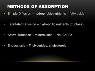 METHODS OF ABSORPTION
• Simple Diffusion – hydrophobic nutrients – fatty acids
• Facilitated Diffusion – hydrophilic nutrients (fructose)
• Active Transport – mineral ions….Na, Ca, Fe
• Endocytosis – Triglycerides, cholesterols
 