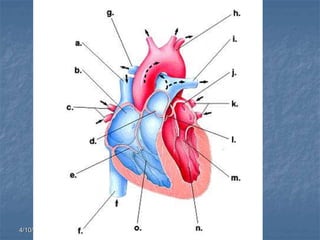 4/10/2016 2:58 PM cottingham
 