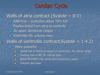 4/10/2016 2:58 PM cottingham
Cardiac Cycle
1. Walls of atria contract (Systole = 0-1)
 SAN fires – ventricles about 70% full
 Pushes blood from atria to ventricle
 AV open; Semilunar closed
 Ventricles fill; volume rises
2. Walls of ventricles contract(Systole = 1-4.2)
 More powerful;
 Initial rise in blood pressure in ventricles: AV valves close;
 Further rise in BP: SL valves open
 Blood PUMPED into aorta and pulmonary artery
 Volume decrease
 
