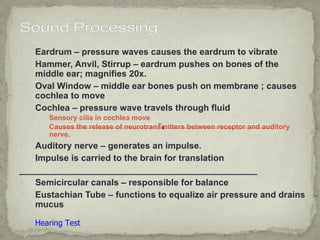 1.   Eardrum – pressure waves causes the eardrum to vibrate
2.   Hammer, Anvil, Stirrup – eardrum pushes on bones of the
     middle ear; magnifies 20x.
3.   Oval Window – middle ear bones push on membrane ; causes
     cochlea to move
4.   Cochlea – pressure wave travels through fluid
     r   Sensory cilia in cochlea move
         Causes the release of neurotransmitters between receptor and auditory
         nerve.
s  Auditory nerve – generates an impulse.
   Impulse is carried to the brain for translation
________________________________________________
  Semicircular canals – responsible for balance
  Eustachian Tube – functions to equalize air pressure and drains
   mucus

     Hearing Test
 