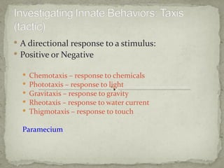  A directional response to a stimulus:
 Positive or Negative

     Chemotaxis – response to chemicals
     Phototaxis – response to light
     Gravitaxis – response to gravity
     Rheotaxis – response to water current
     Thigmotaxis – response to touch

  Paramecium
 