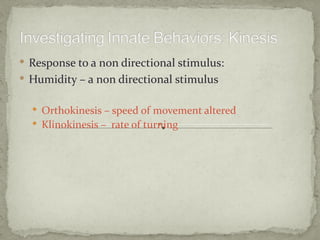  Response to a non directional stimulus:
 Humidity – a non directional stimulus


   Orthokinesis – speed of movement altered
   Klinokinesis – rate of turning
 