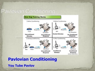 Pavlovian Conditioning 
You Tube Pavlov
 