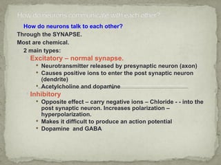  How do neurons talk to each other?
Through the SYNAPSE.
Most are chemical.
 2 main types:
    Excitatory – normal synapse.
        Neurotransmitter released by presynaptic neuron (axon)
        Causes positive ions to enter the post synaptic neuron
         (dendrite)
        Acetylcholine and dopamine
    Inhibitory
        Opposite effect – carry negative ions – Chloride - - into the
         post synaptic neuron. Increases polarization –
         hyperpolarization.
        Makes it difficult to produce an action potential
        Dopamine and GABA
 