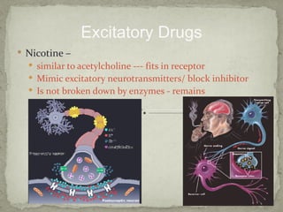 Excitatory Drugs
 Nicotine –
   similar to acetylcholine --- fits in receptor
   Mimic excitatory neurotransmitters/ block inhibitor
   Is not broken down by enzymes - remains
 