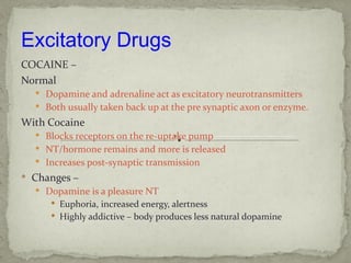 Excitatory Drugs
COCAINE –
Normal
   Dopamine and adrenaline act as excitatory neurotransmitters
   Both usually taken back up at the pre synaptic axon or enzyme.

With Cocaine
   Blocks receptors on the re-uptake pump
   NT/hormone remains and more is released
   Increases post-synaptic transmission
 Changes –
   Dopamine is a pleasure NT
      Euphoria, increased energy, alertness
      Highly addictive – body produces less natural dopamine
 