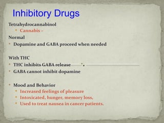 Inhibitory Drugs
Tetrahydrocannabinol
    Cannabis –
Normal
 Dopamine and GABA proceed when needed


With THC
 THC inhibits GABA release
 GABA cannot inhibit dopamine


 Mood and Behavior
   Increased feelings of pleasure
   Intoxicated, hunger, memory loss,
   Used to treat nausea in cancer patients.
 