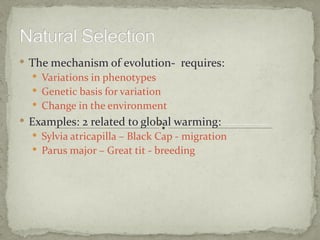  The mechanism of evolution- requires:
   Variations in phenotypes
   Genetic basis for variation
   Change in the environment
 Examples: 2 related to global warming:
   Sylvia atricapilla – Black Cap - migration
   Parus major – Great tit - breeding
 
