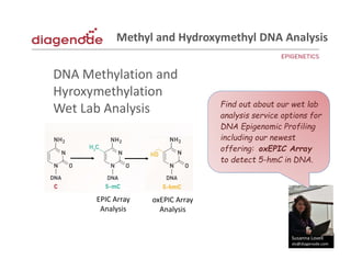 Susanna Lovell
slo@diagenode.com
Find out about our wet lab
analysis service options for
DNA Epigenomic Profiling
including our newest
offering: oxEPIC Array
to detect 5-hmC in DNA.
DNA Methylation and
Hyroxymethylation
Wet Lab Analysis
EPIC Array
Analysis
oxEPIC Array
Analysis
Methyl and Hydroxymethyl DNA Analysis
 