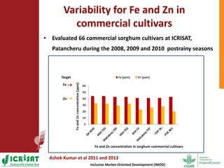 Options for enhancing grain iron and zinc concentrations in sorghum