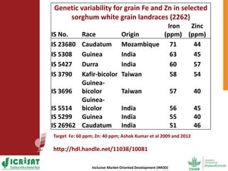 Options for enhancing grain iron and zinc concentrations in sorghum