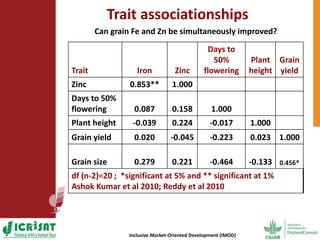 Options for enhancing grain iron and zinc concentrations in sorghum
