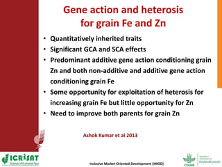 Options for enhancing grain iron and zinc concentrations in sorghum