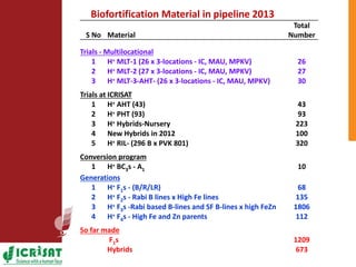 Options for enhancing grain iron and zinc concentrations in sorghum