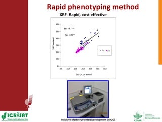 Options for enhancing grain iron and zinc concentrations in sorghum