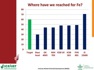 Options for enhancing grain iron and zinc concentrations in sorghum