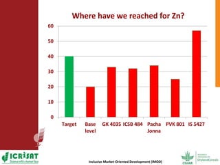 Options for enhancing grain iron and zinc concentrations in sorghum