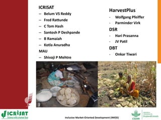 Options for enhancing grain iron and zinc concentrations in sorghum