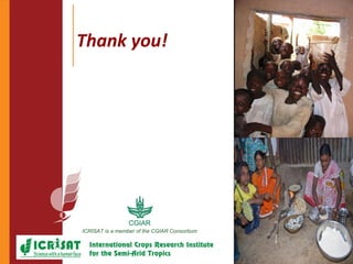 Options for enhancing grain iron and zinc concentrations in sorghum