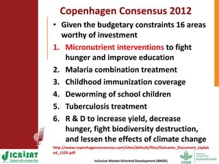 Options for enhancing grain iron and zinc concentrations in sorghum