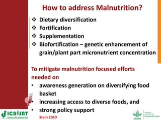 Options for enhancing grain iron and zinc concentrations in sorghum